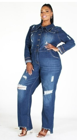 Dark Denim Jumpsuit