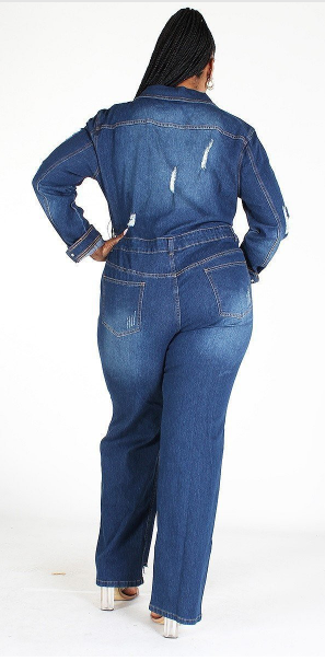 Dark Denim Jumpsuit